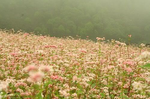 ap_20090629121951412.jpg
