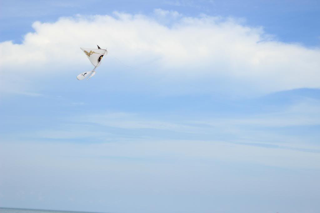 IMG_3042_zps757ed13b.jpg