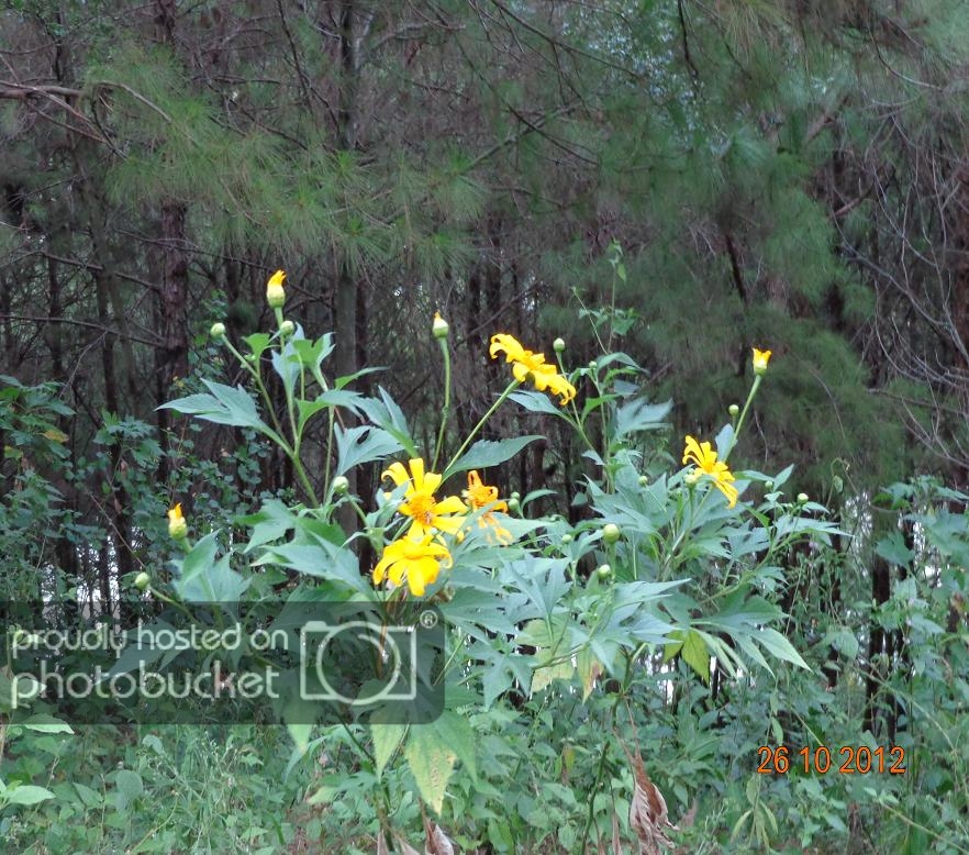 DSC00665R.jpg