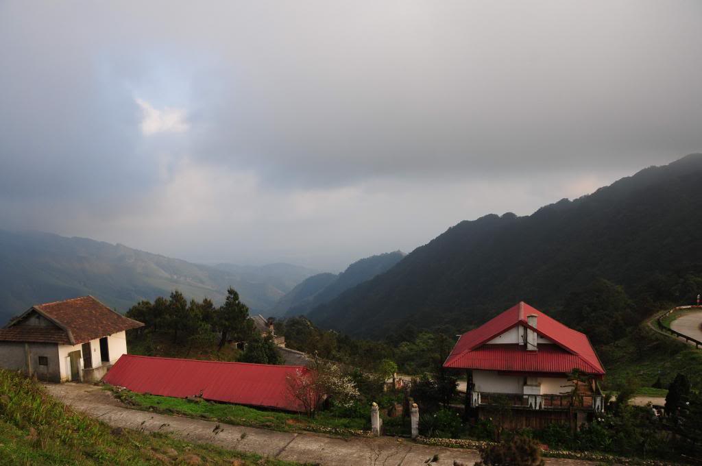 DSC_1558.jpg