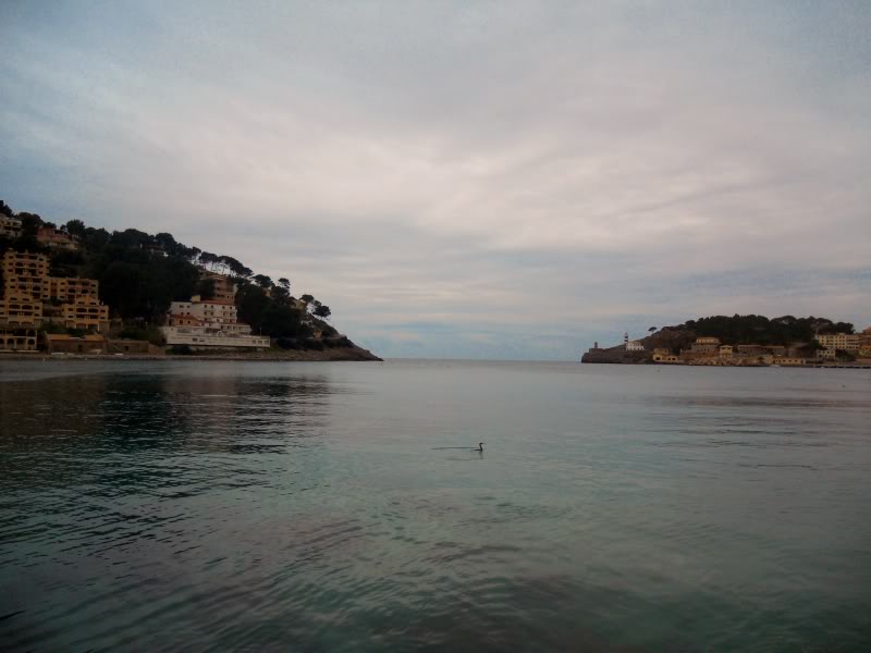 DSCN6162.jpg