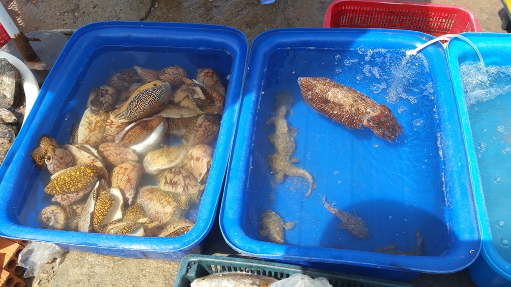 20150716_101953_zps3cyvqk9z.jpg
