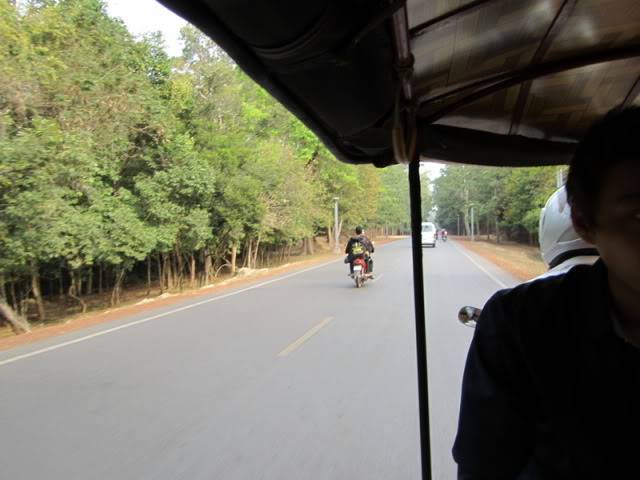 Picture131-1.jpg
