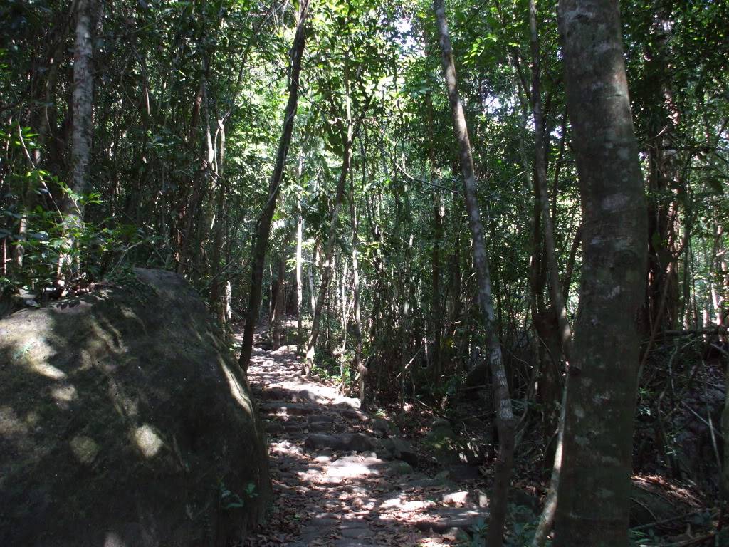 DSCF5104.jpg
