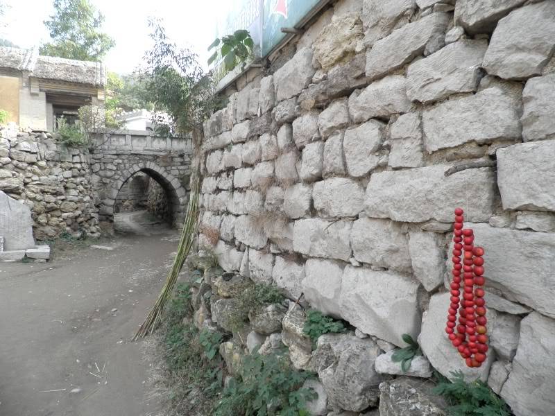 PA232967.jpg