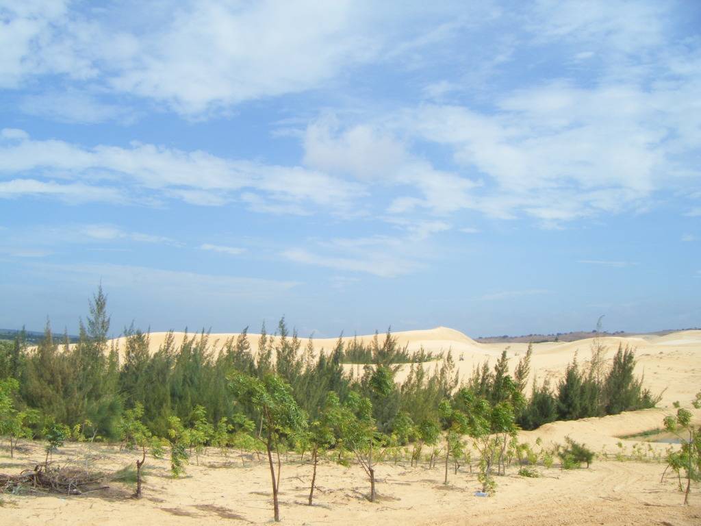 DSCF9435.jpg