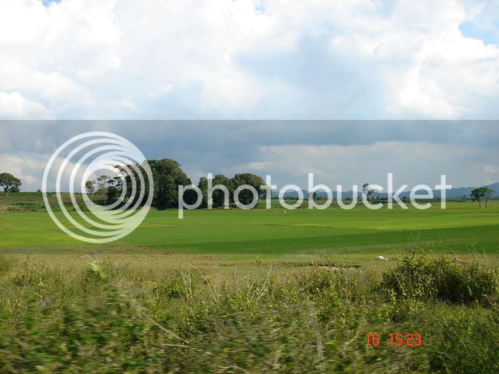 DSC01113.jpg
