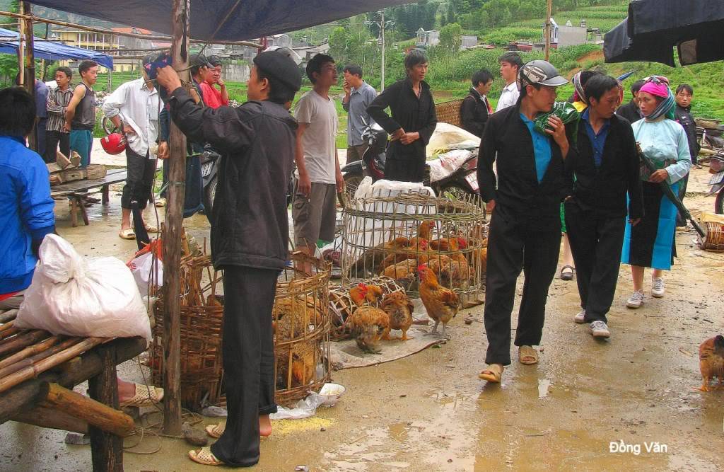 ngVn-0151024x768.jpg