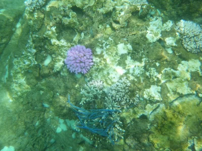 DSCF0119.jpg