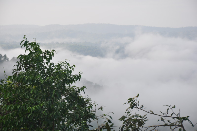 DSC_1416.jpg