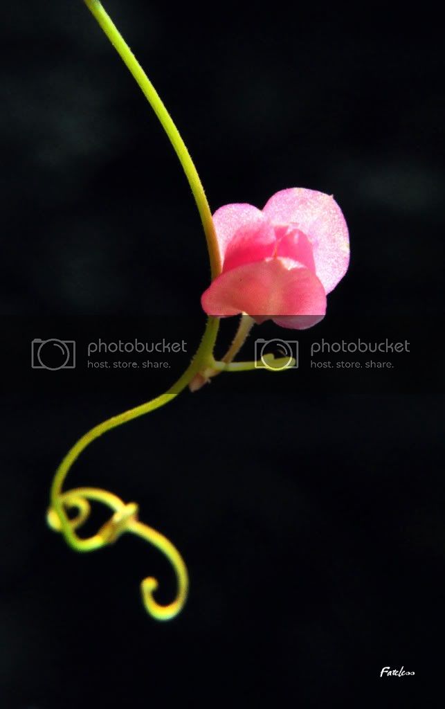 DSC_0055.jpg