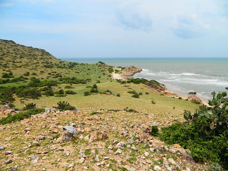 DSCN2225.jpg