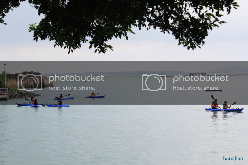 IMG_7739_zps4f0a7330.jpg