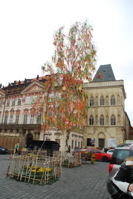 DSC_0354.jpg