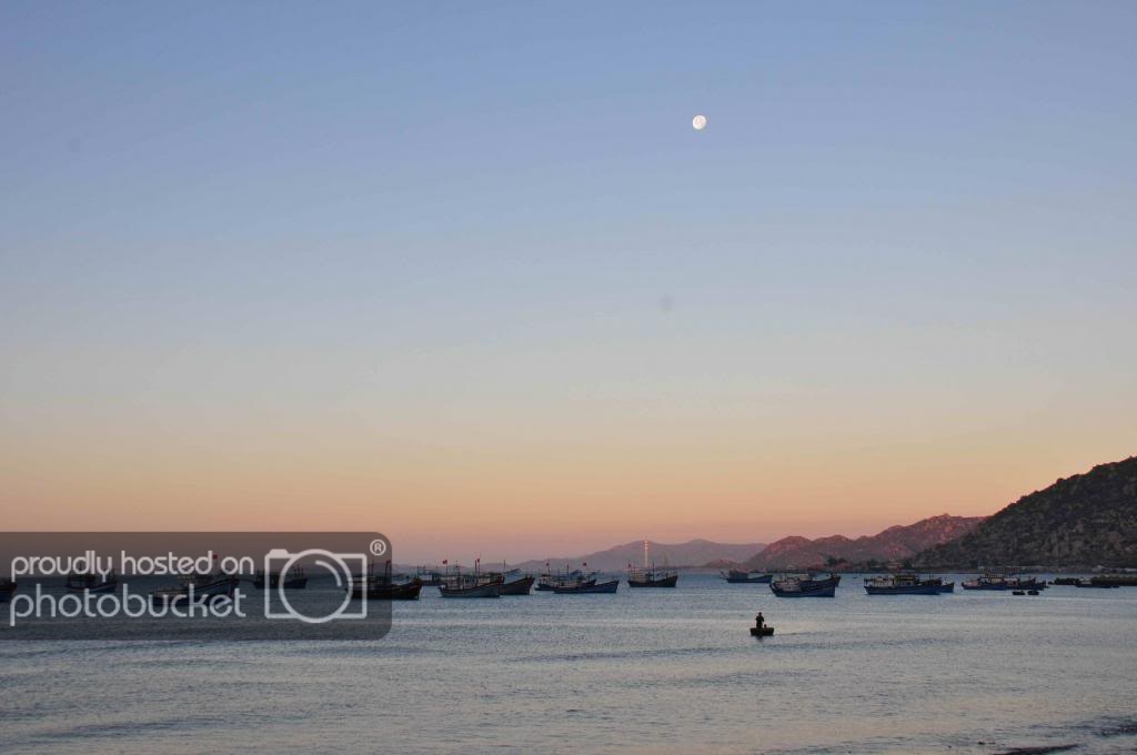 DSC_2491_zps40e8385a.jpg