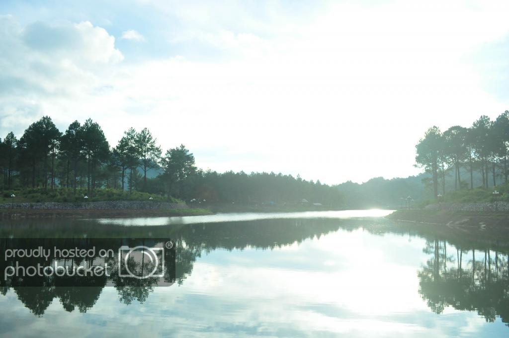 DSC_0138_zps78ed314f.jpg
