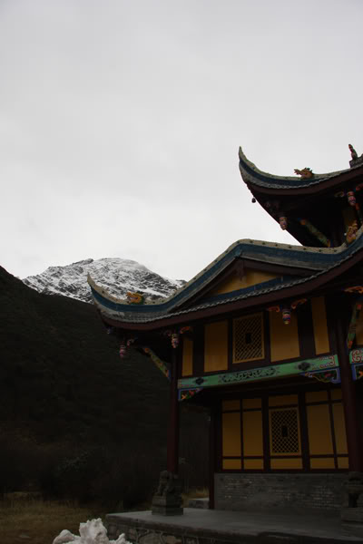 hoanglong68.jpg