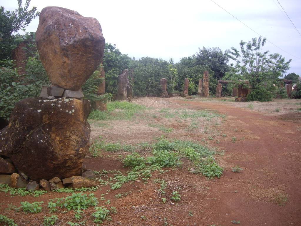 IMGP5462.jpg