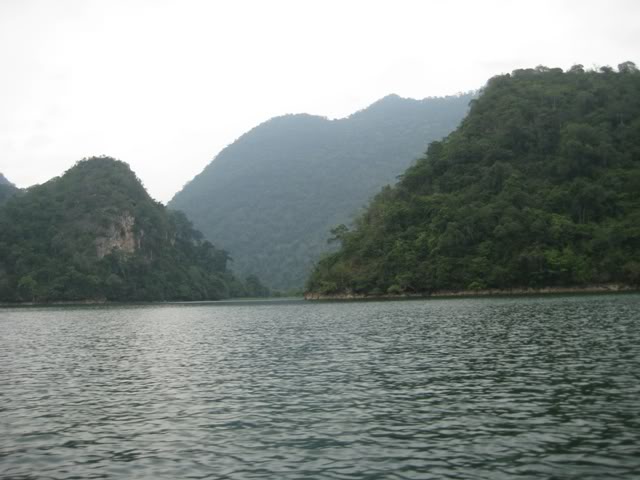 IMG_0461.jpg