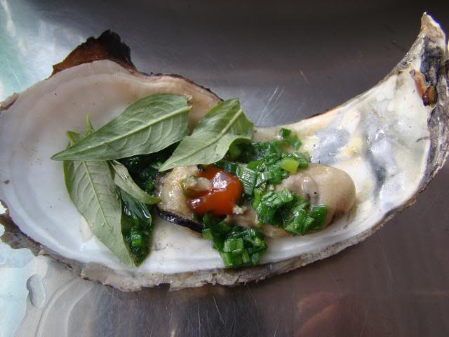 DSC00648.jpg