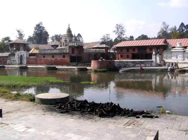 PB050032.jpg