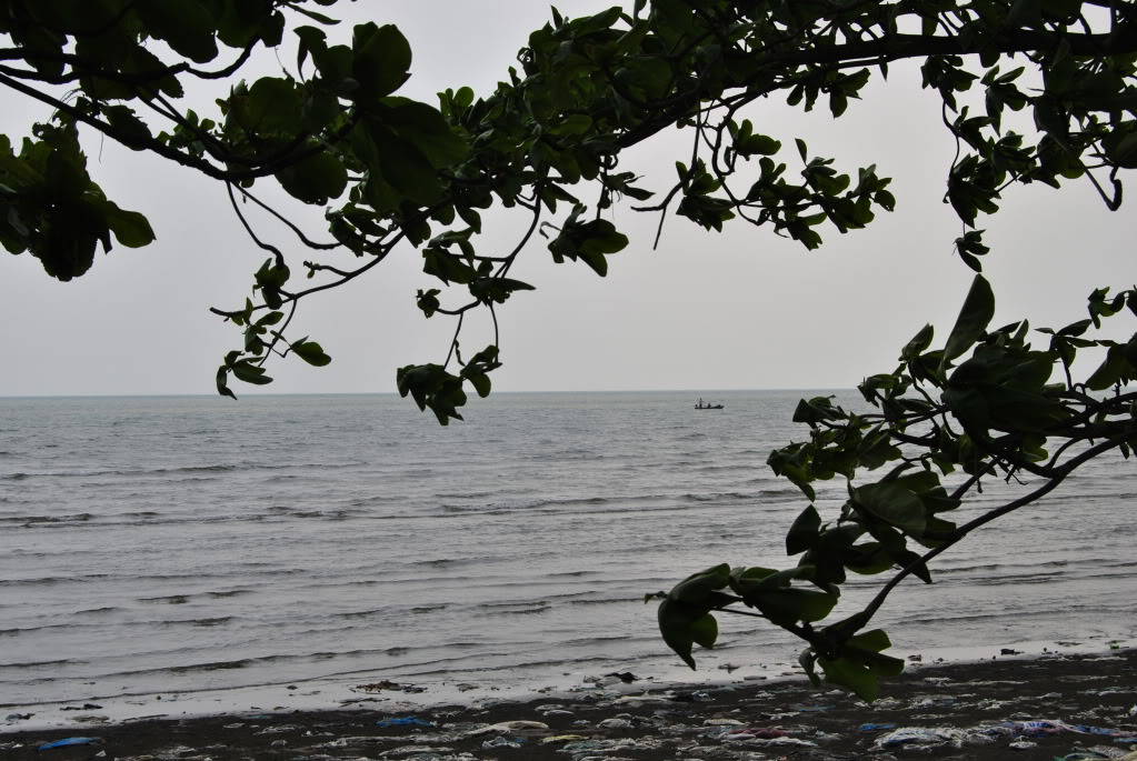 DSC_0169.jpg
