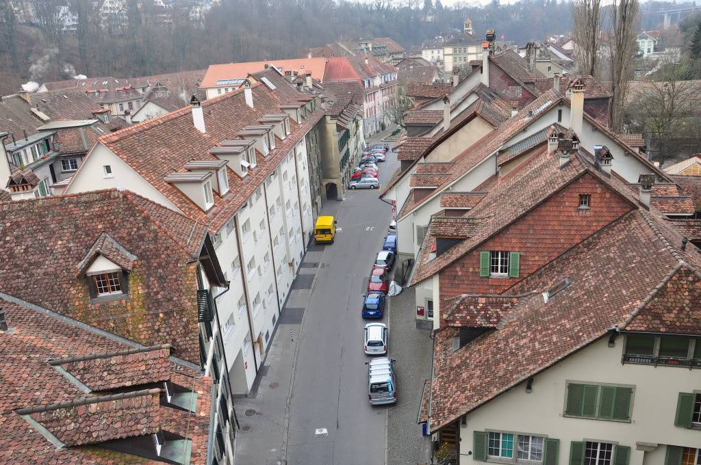 DSC_0642.jpg