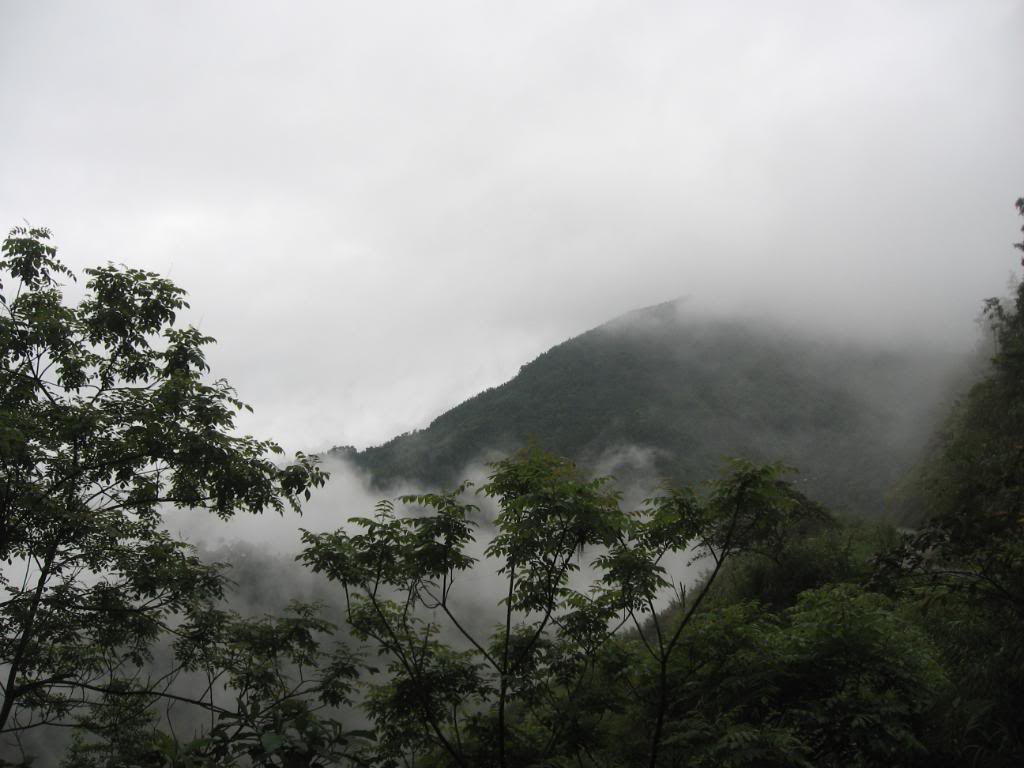 IMG_0227.jpg