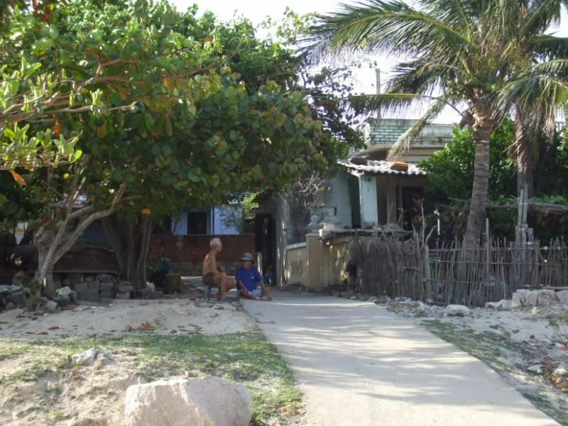 DSCF7934800x600.jpg
