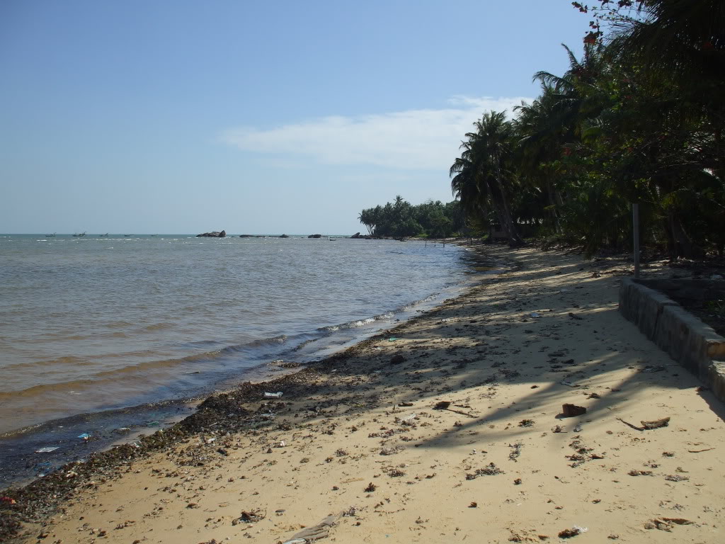 DSCF4929.jpg