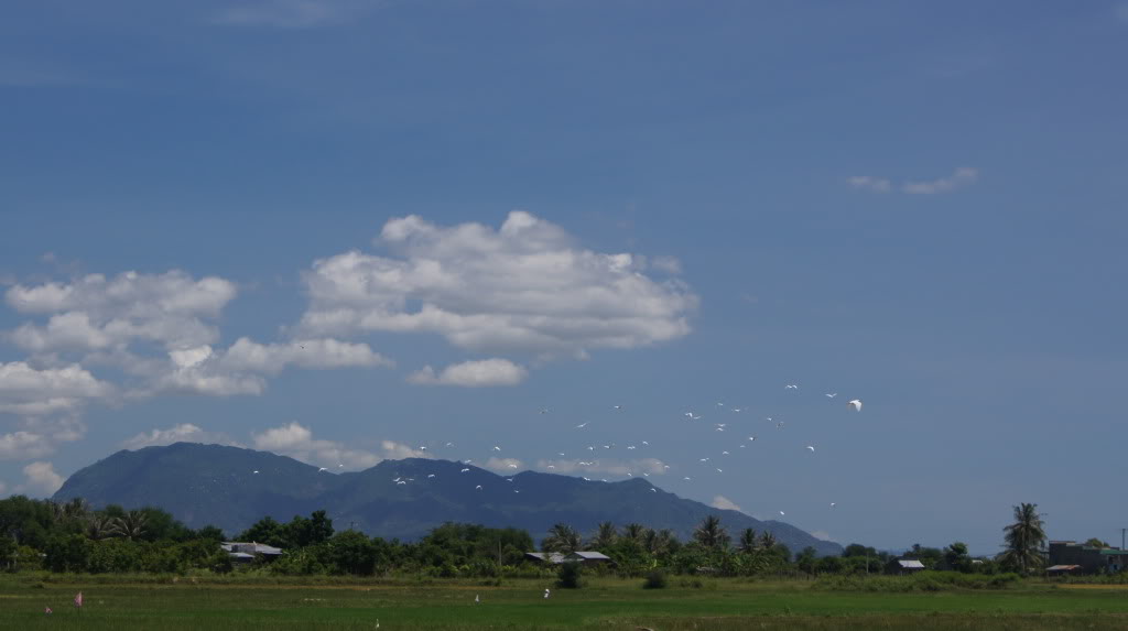 DSC03869.jpg