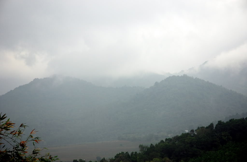 DSC_1230-2.jpg