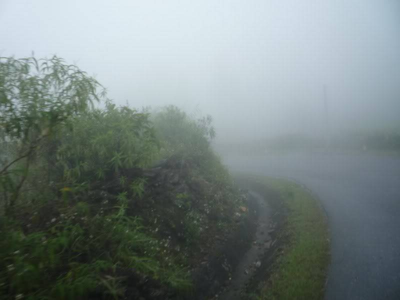 P1020251800x600.jpg