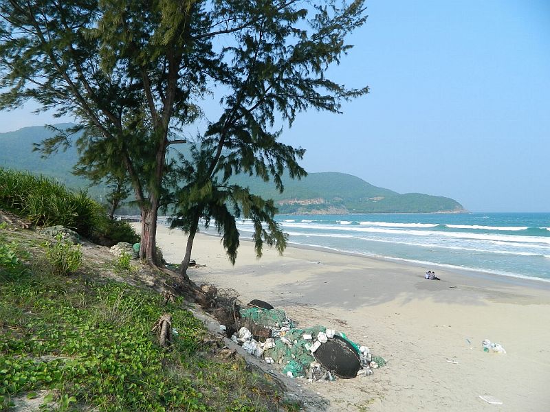 DSCN2663.jpg