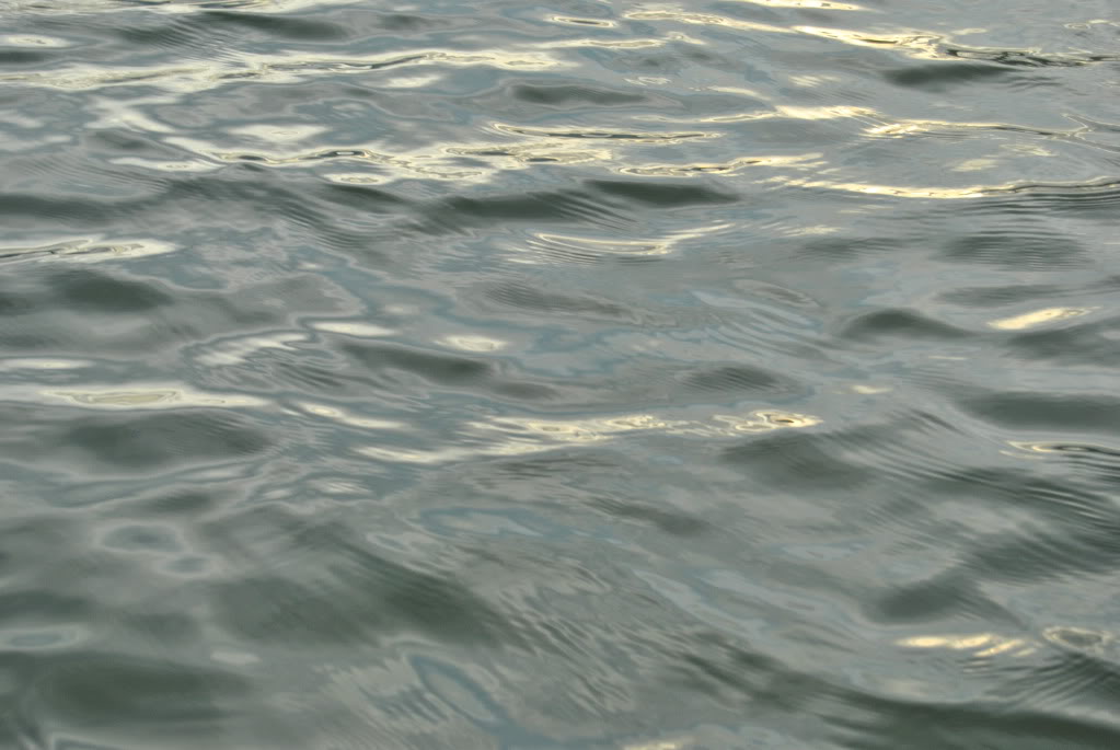 DSC_0162.jpg