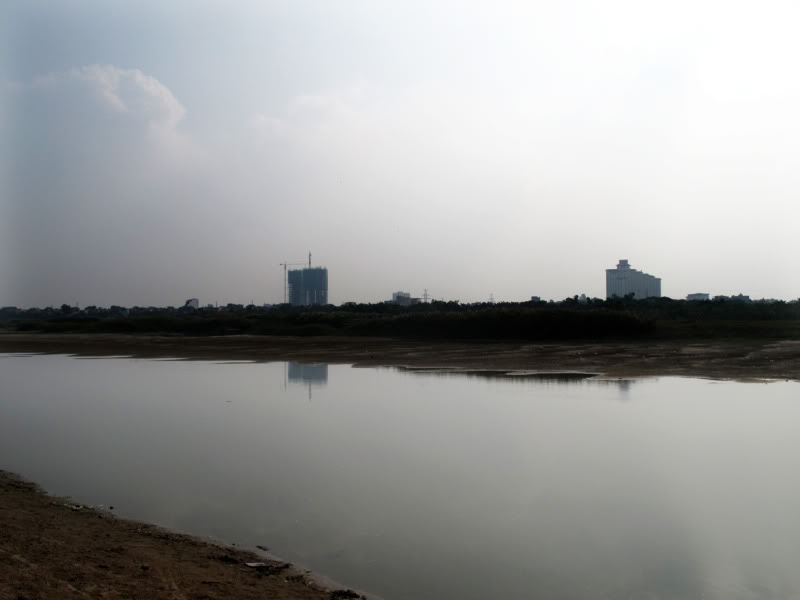 sh23.jpg