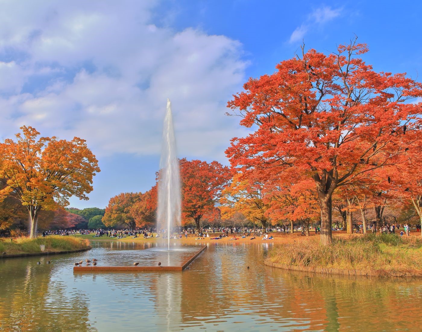 Yoyogi-park.jpg