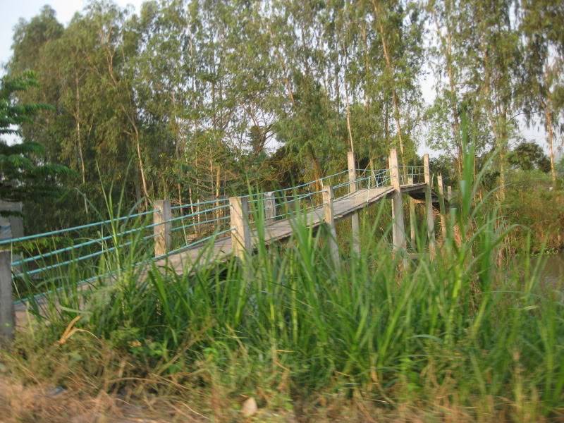 DongThapTET2011256.jpg