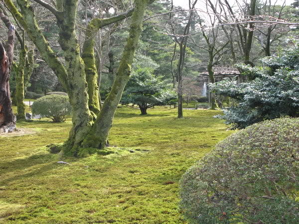 IMG_1784_resize.jpg