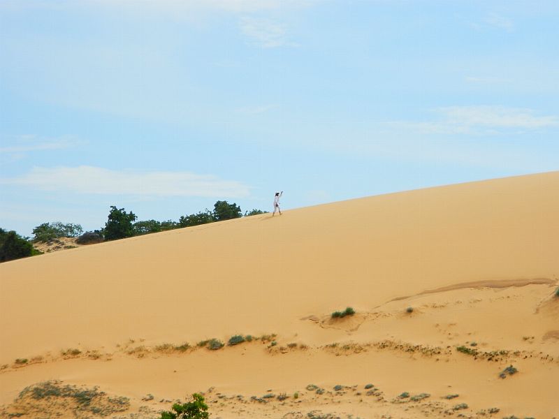 DSCN2115.jpg