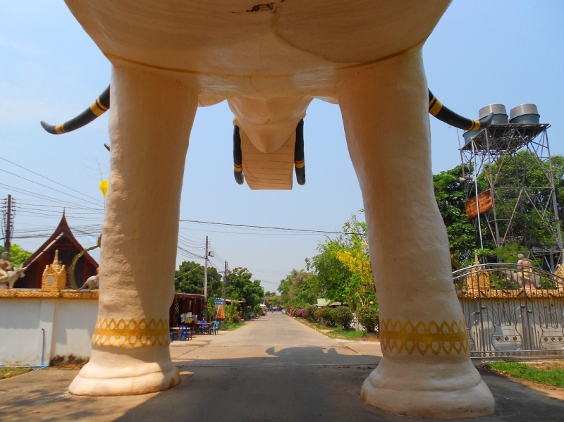 DSCN7806-1.jpg