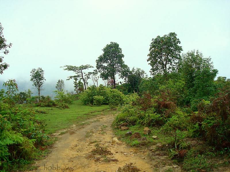 DSC08052-1.jpg