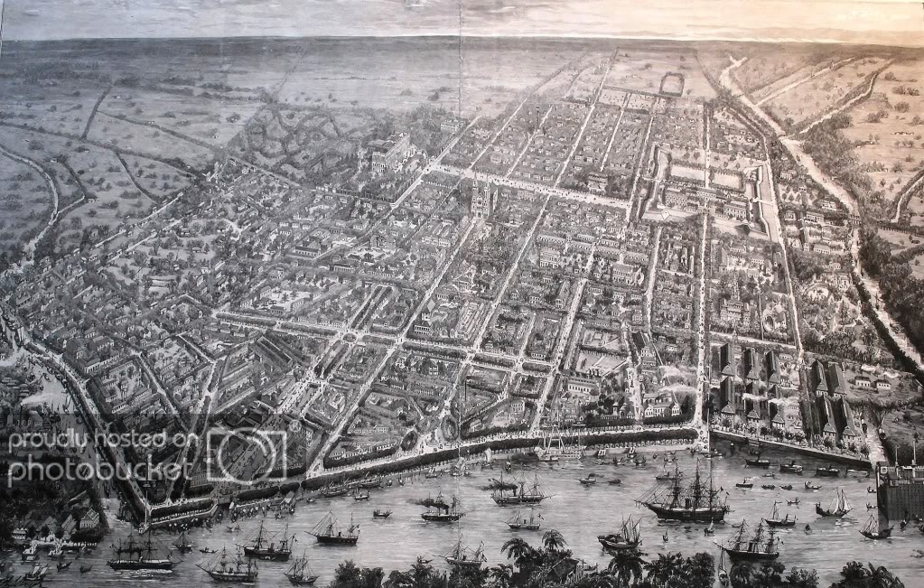 bave1881.jpg