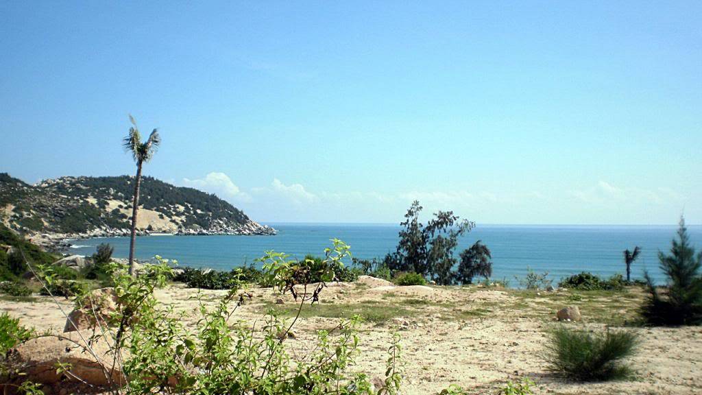 110.jpg