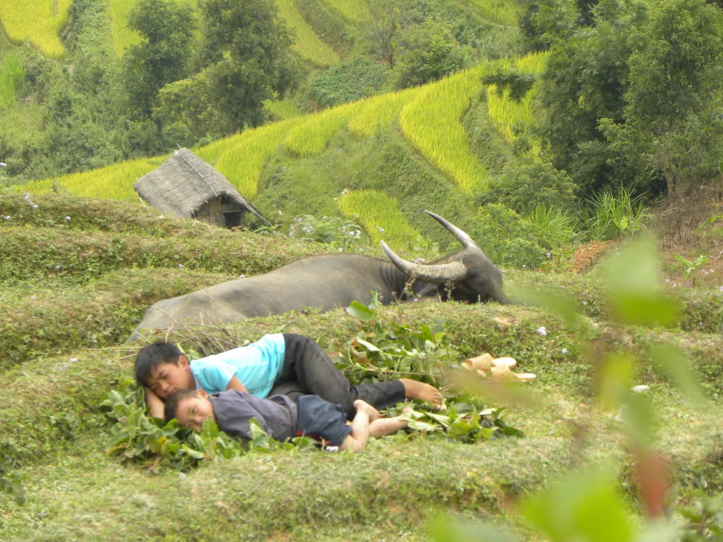 DSCN8398.jpg