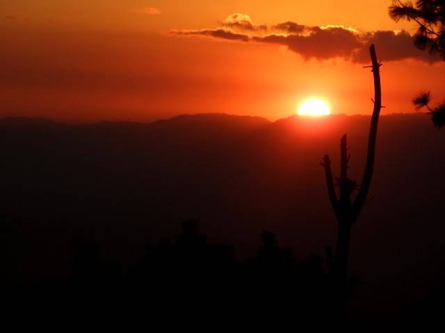 PB020353-1.jpg