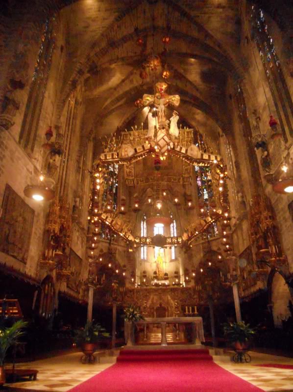 DSCN6707.jpg