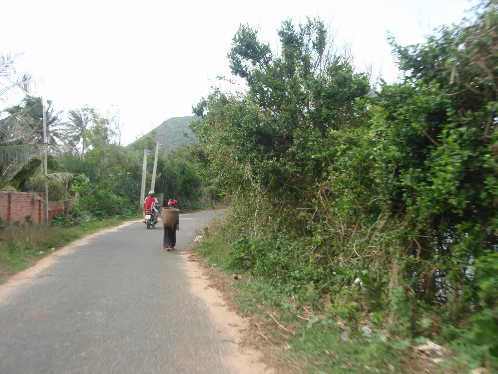 P1012482.jpg