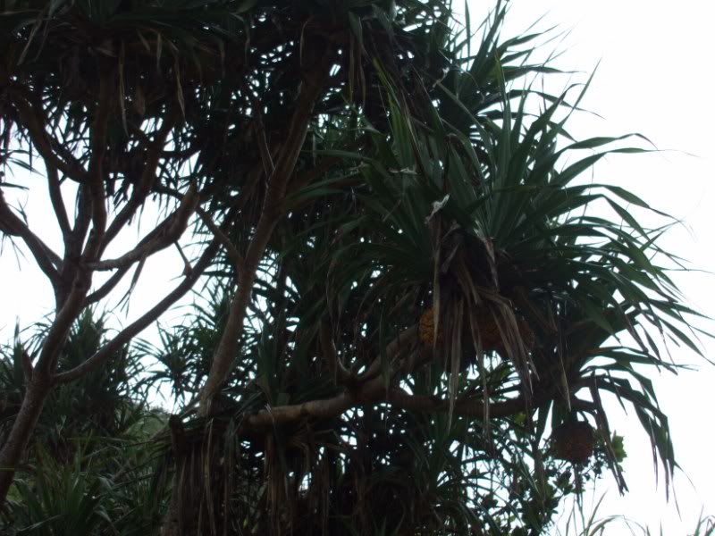DSCF6996.jpg