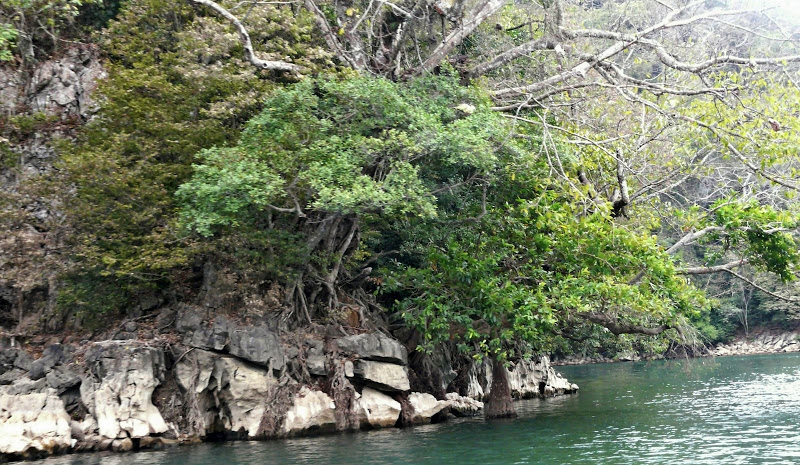 P1050642.JPG